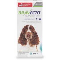 Bravecto Chewable Tablet for Dogs - Green, For Dogs 22 to 44 lbs.